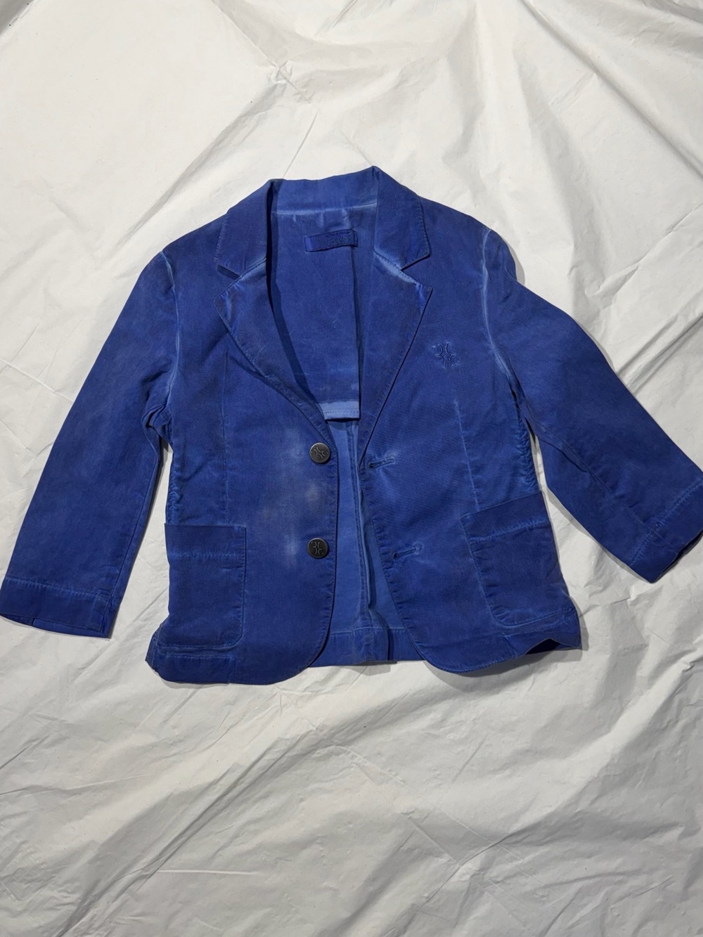 Donald J. Pliner Blue Velvet Jacket